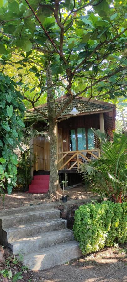 Sandra Eco Варкала Экстерьер фото